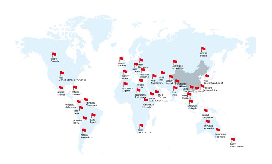 Global Market